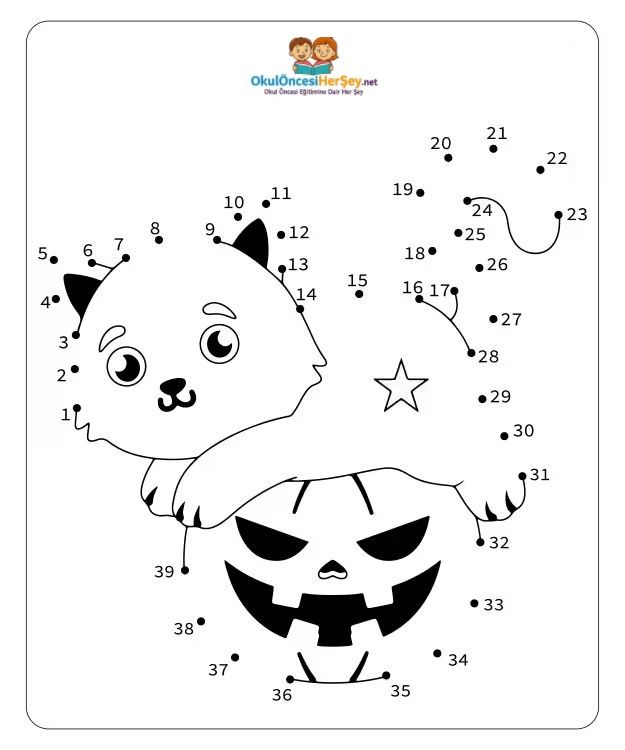 Çizgi Çalışmaları