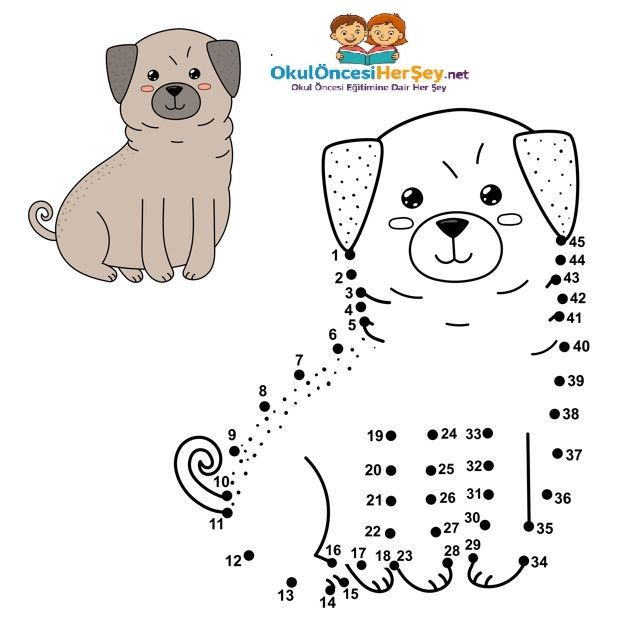 Çizgi Çalışmaları