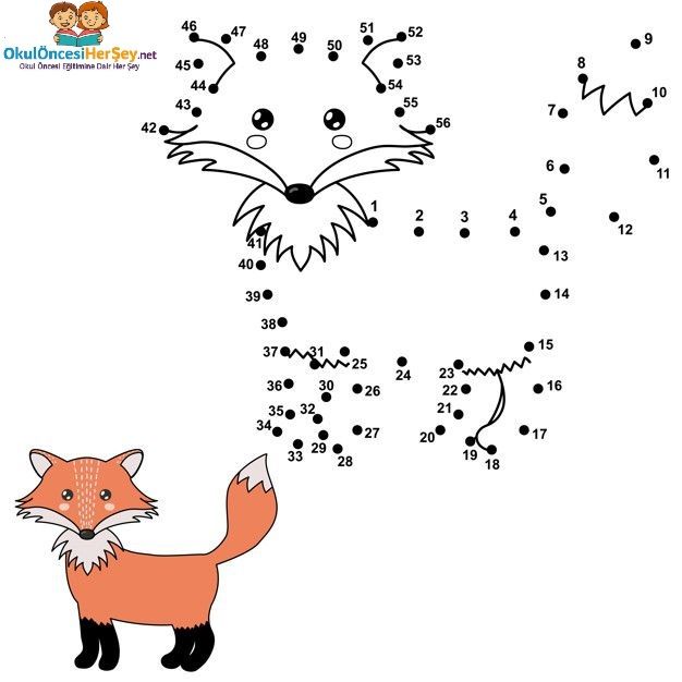 Çizgi Çalışmaları