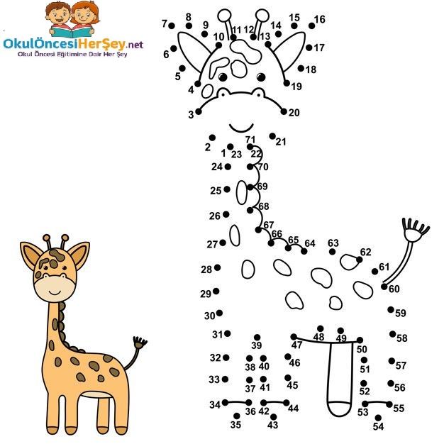 Çizgi Çalışmaları