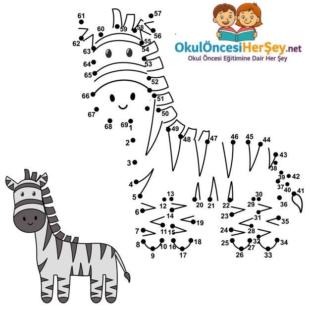 Çizgi Çalışmaları