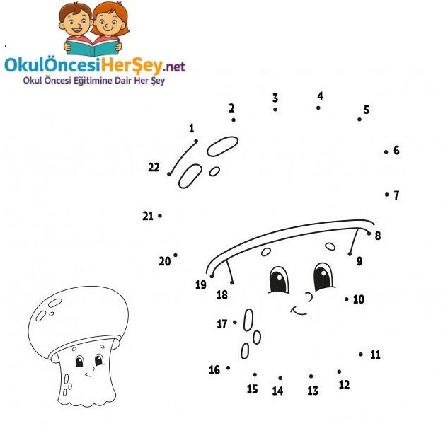 Çizgi Çalışmaları