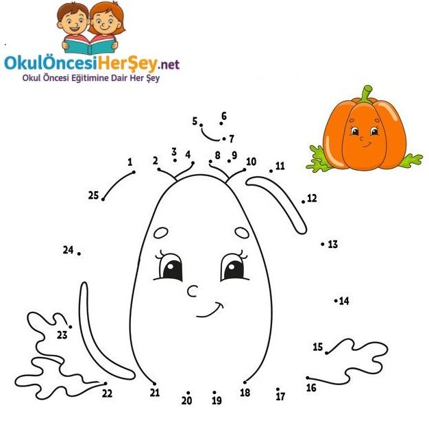 Çizgi Çalışmaları