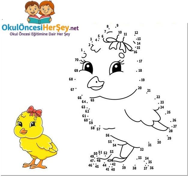 Çizgi Çalışmaları