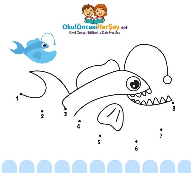 Çizgi Çalışmaları