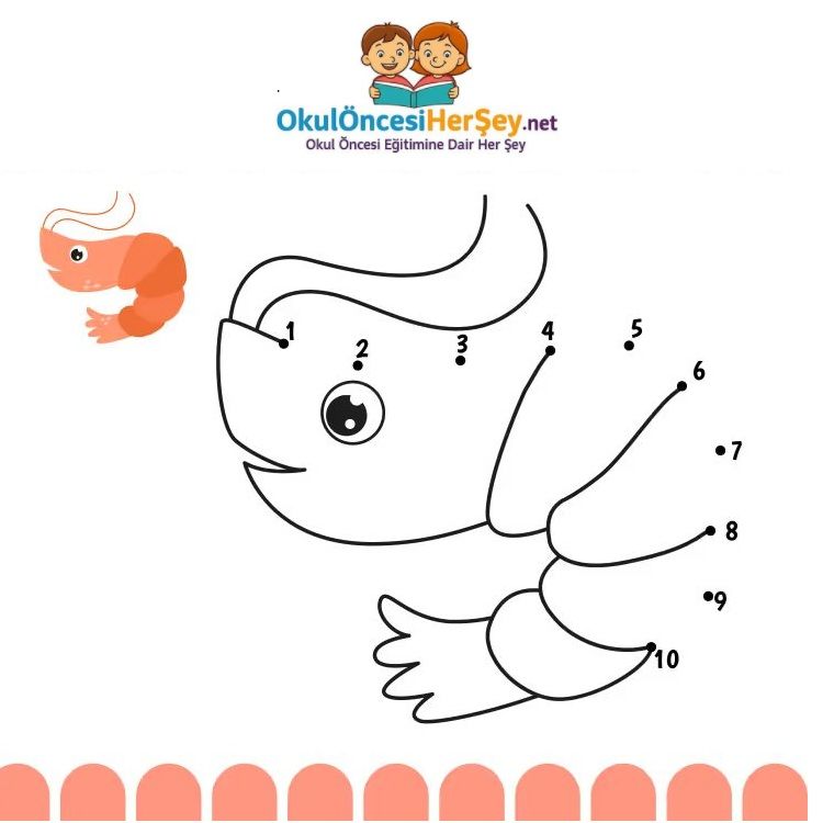 Çizgi Çalışmaları