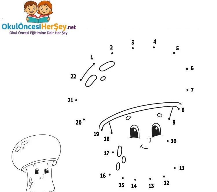 Çizgi Çalışmaları