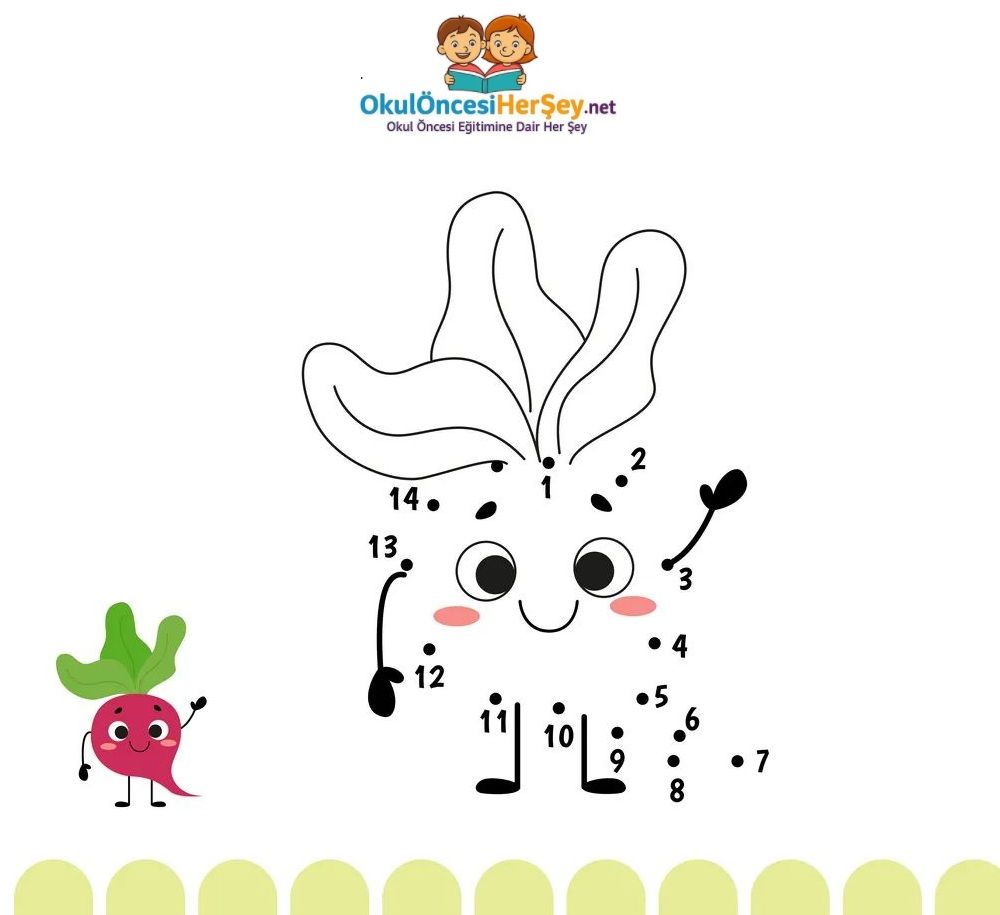 Çizgi Çalışmaları