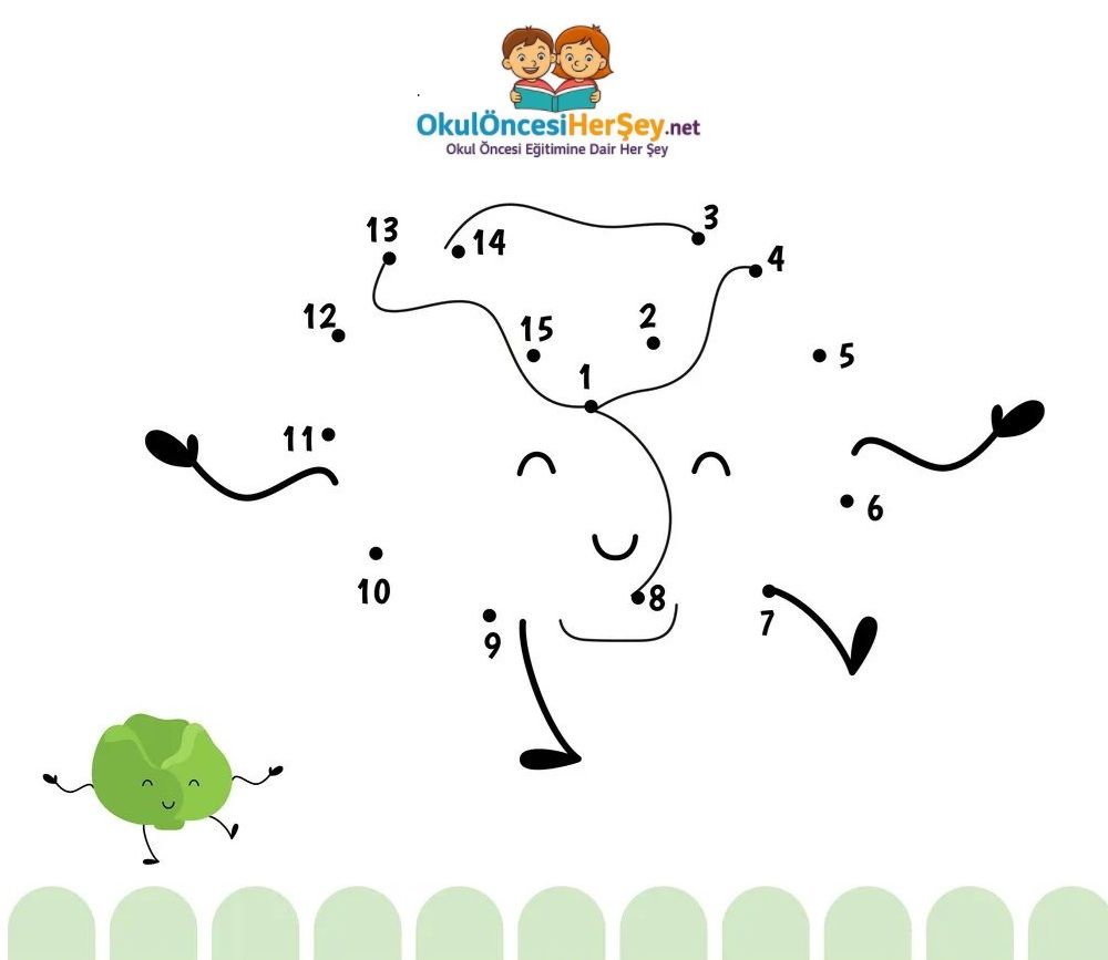 Çizgi Çalışmaları