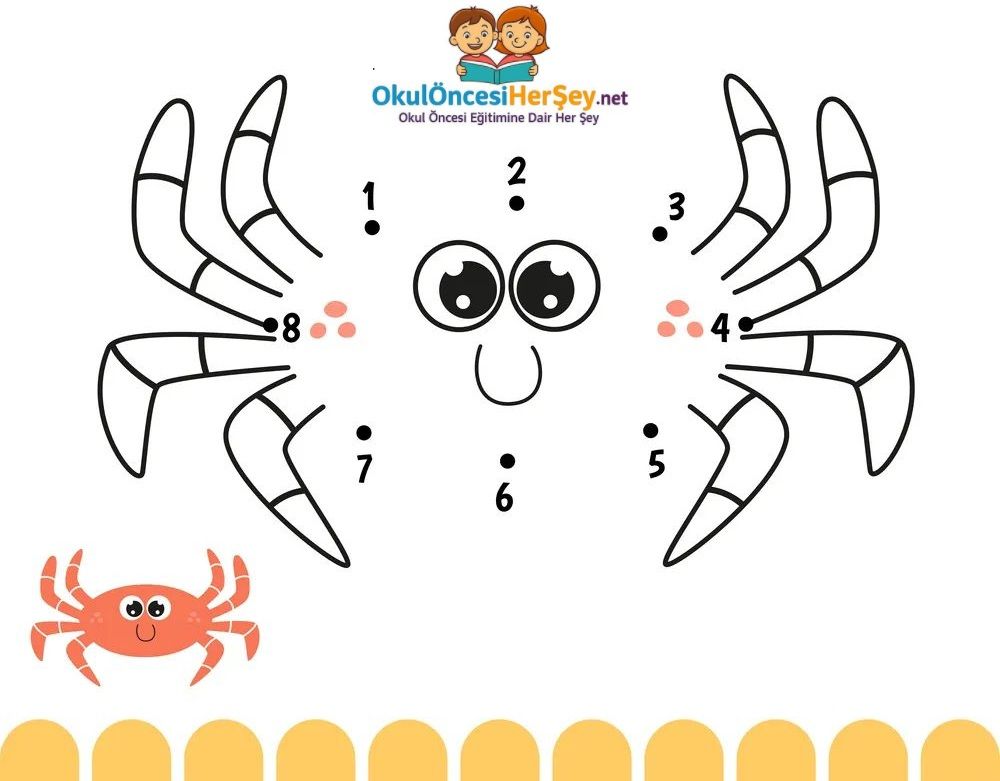 Çizgi Çalışmaları