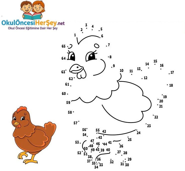 Çizgi Çalışmaları