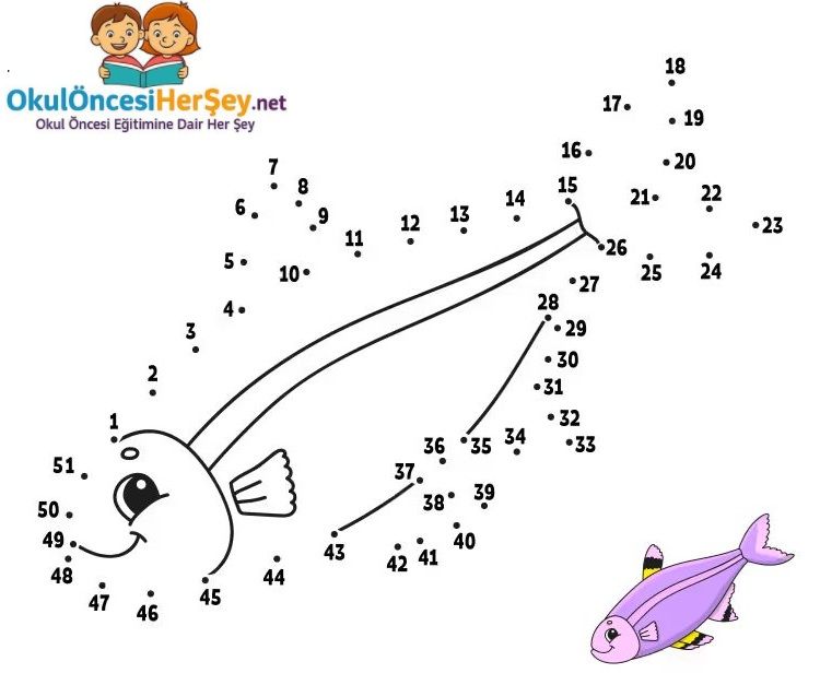 Çizgi Çalışmaları