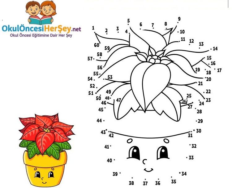 Çizgi Çalışmaları