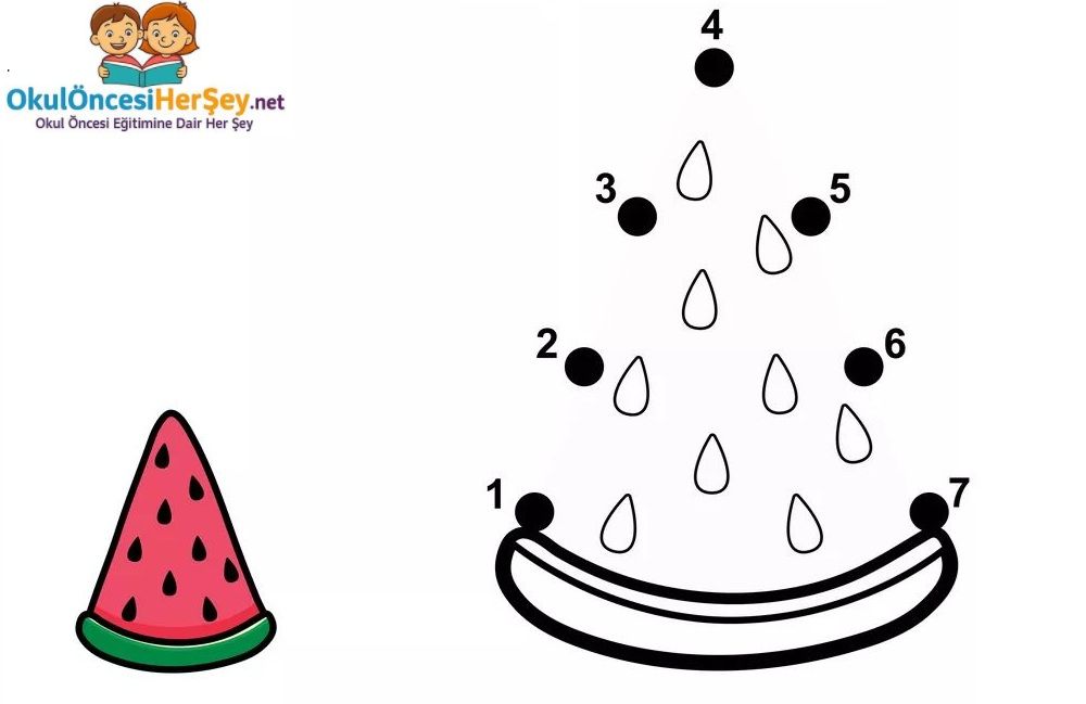 Çizgi Çalışmaları