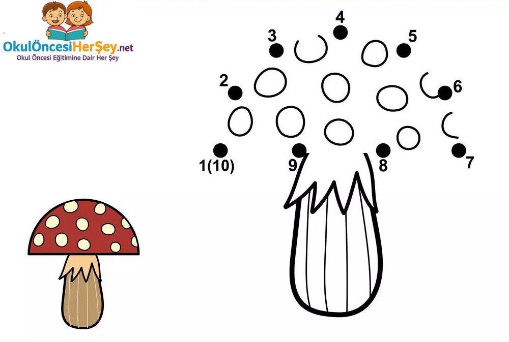 Çizgi Çalışmaları