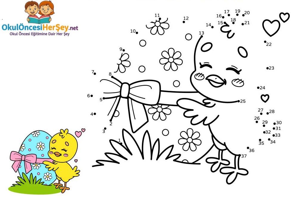 Çizgi Çalışmaları