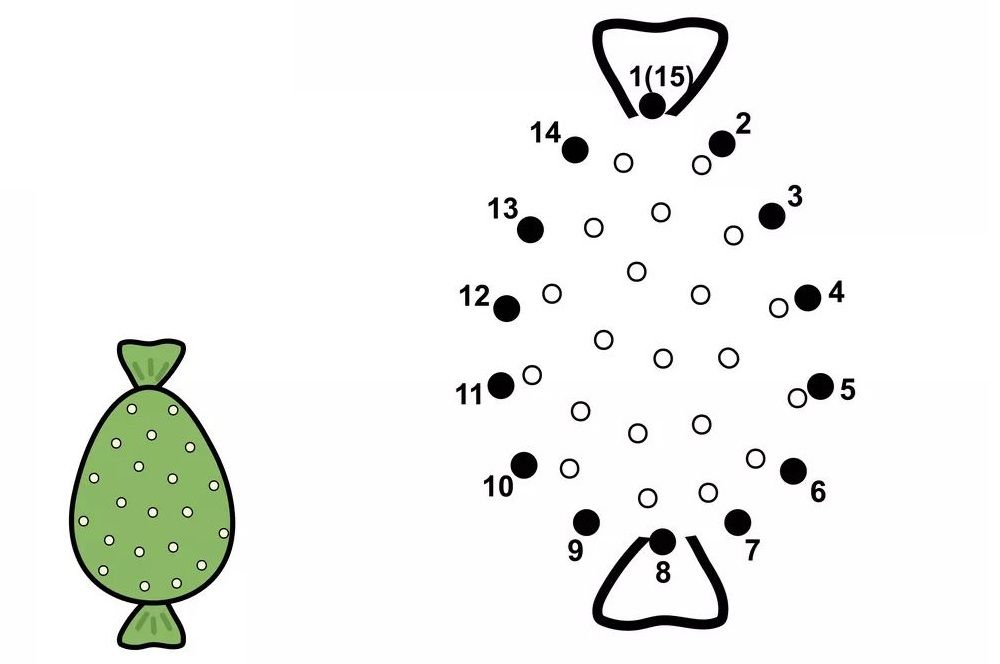 Çizgi Çalışmaları