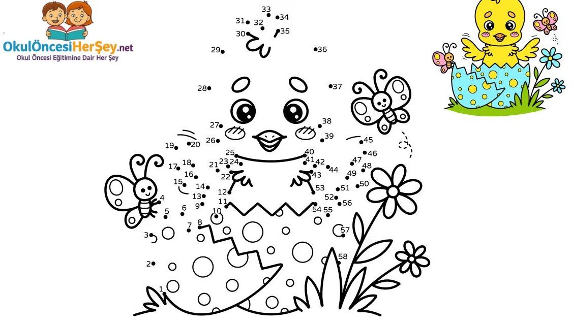 Çizgi Çalışmaları