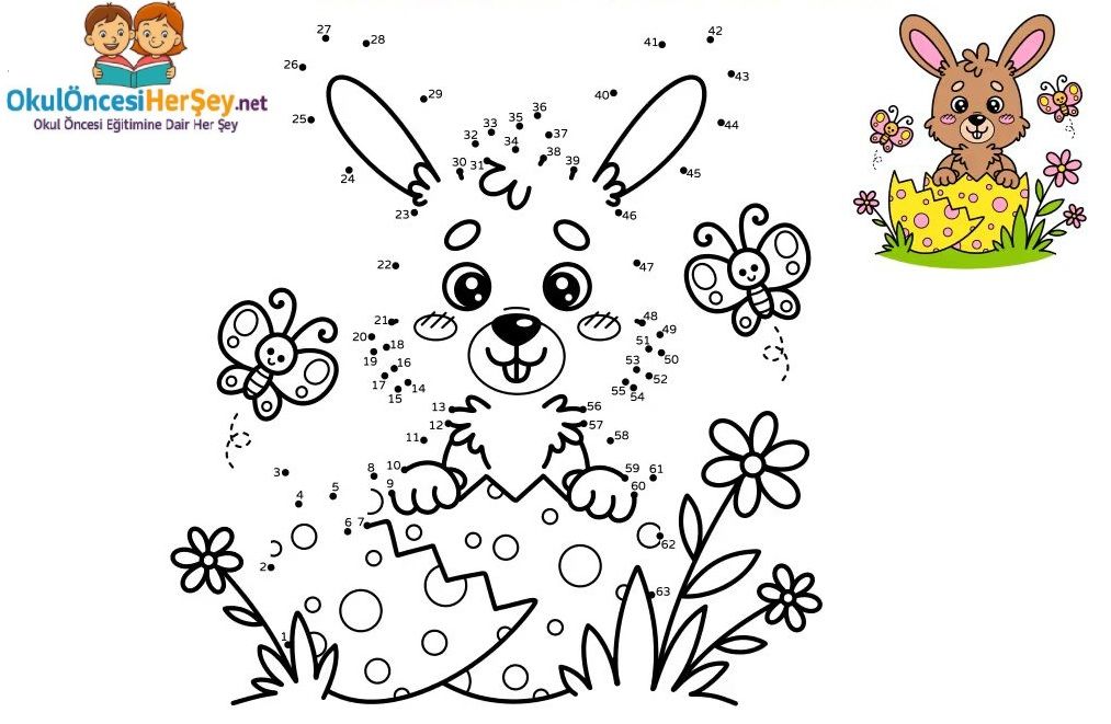 Çizgi Çalışmaları