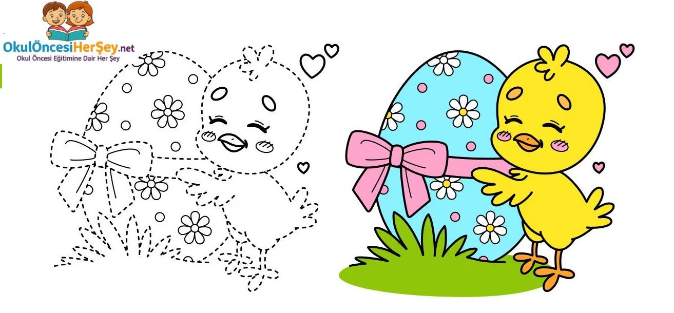 Çizgi Çalışmaları