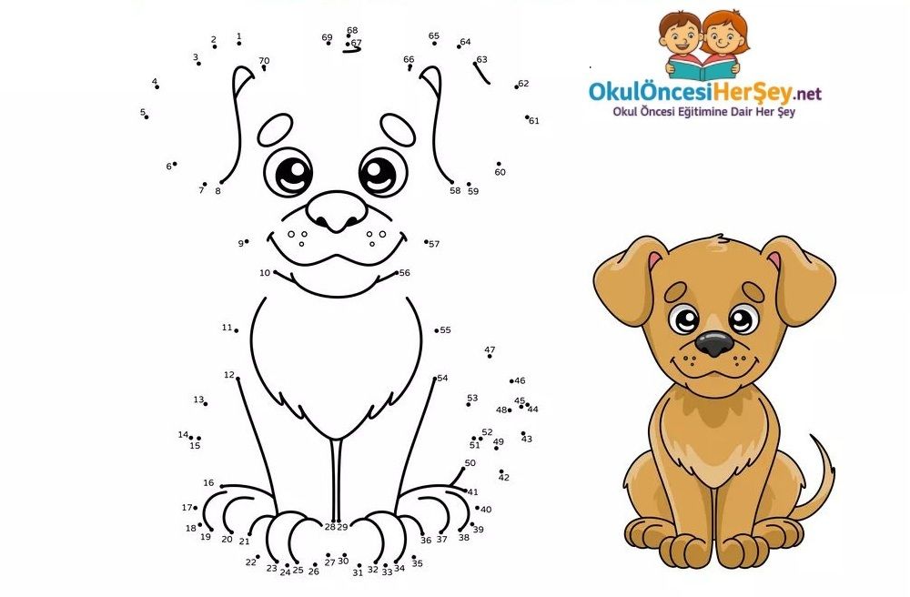 Çizgi Çalışmaları