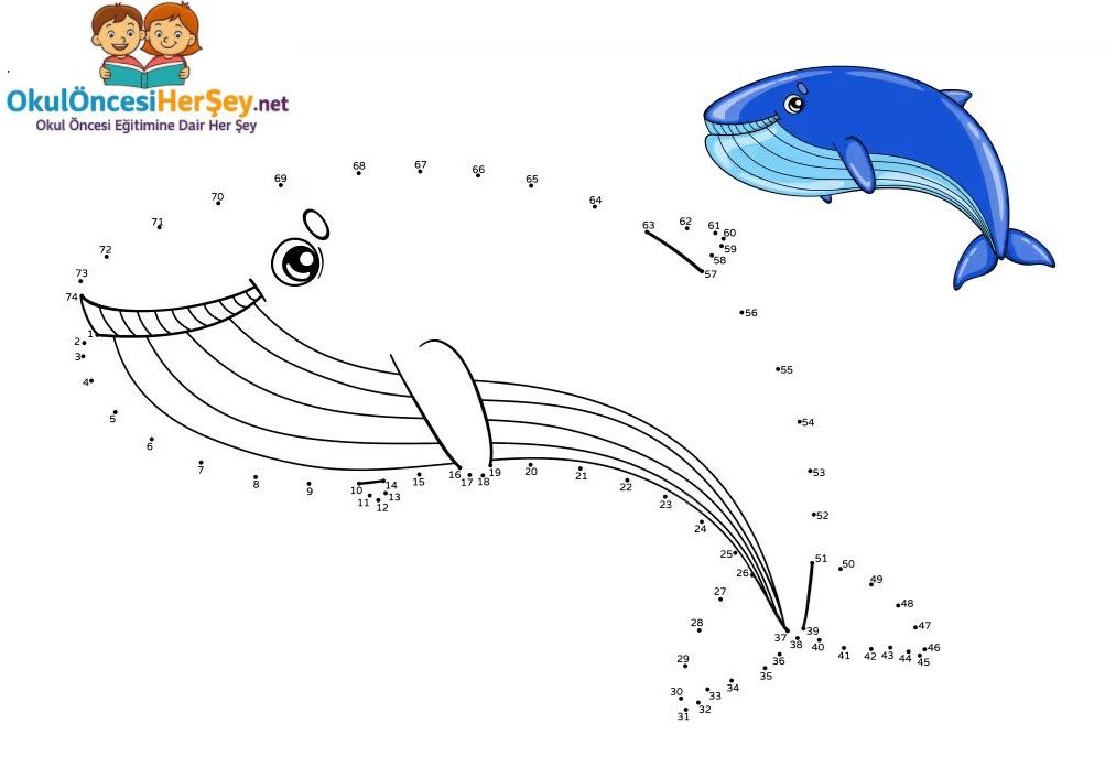 Çizgi Çalışmaları