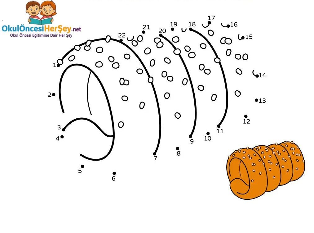 Çizgi Çalışmaları