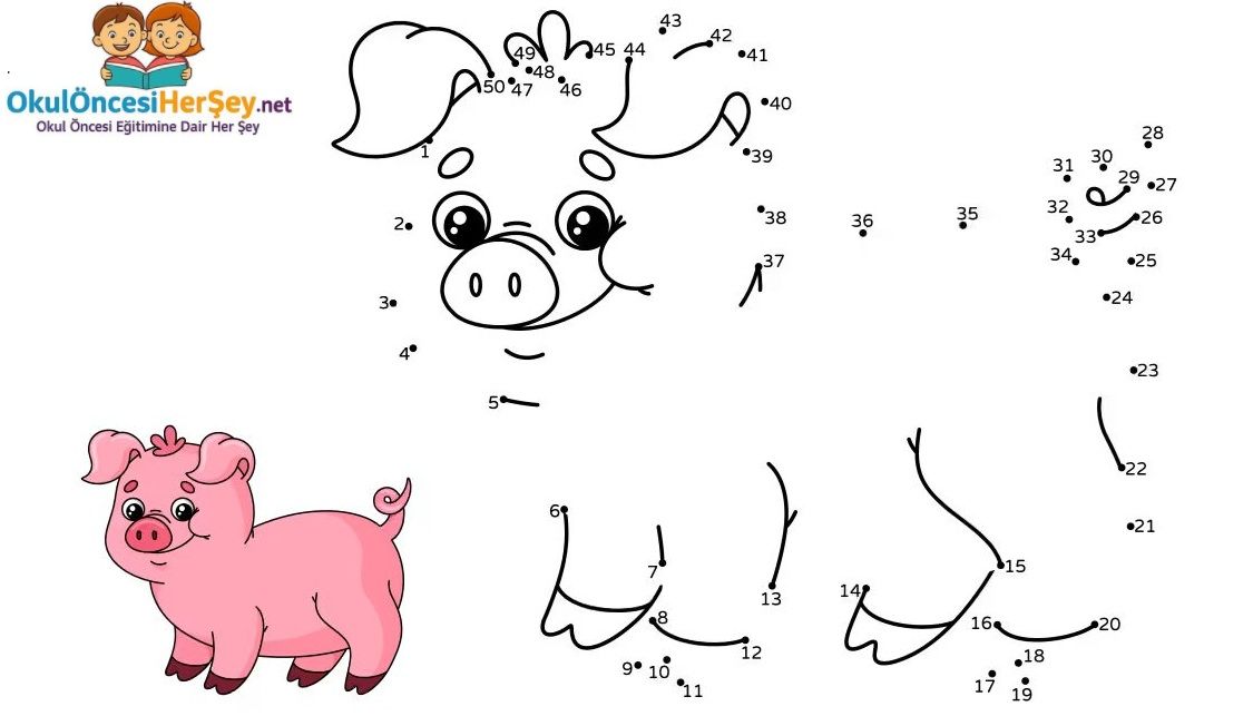 Çizgi Çalışmaları