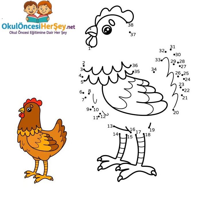 Çizgi Çalışmaları