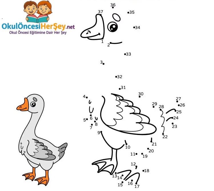 Çizgi Çalışmaları