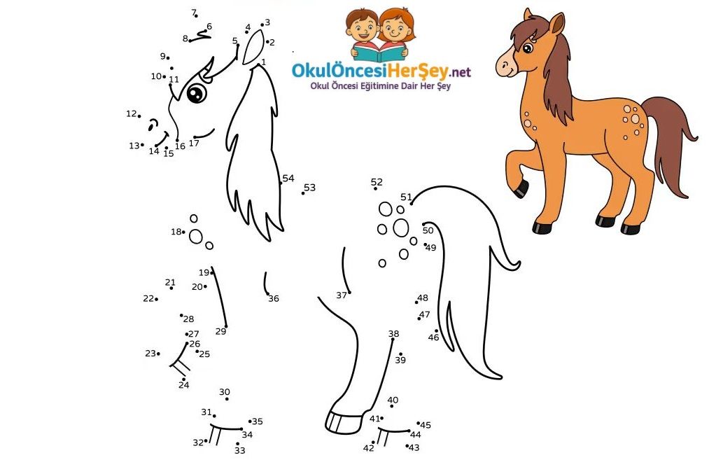 Çizgi Çalışmaları