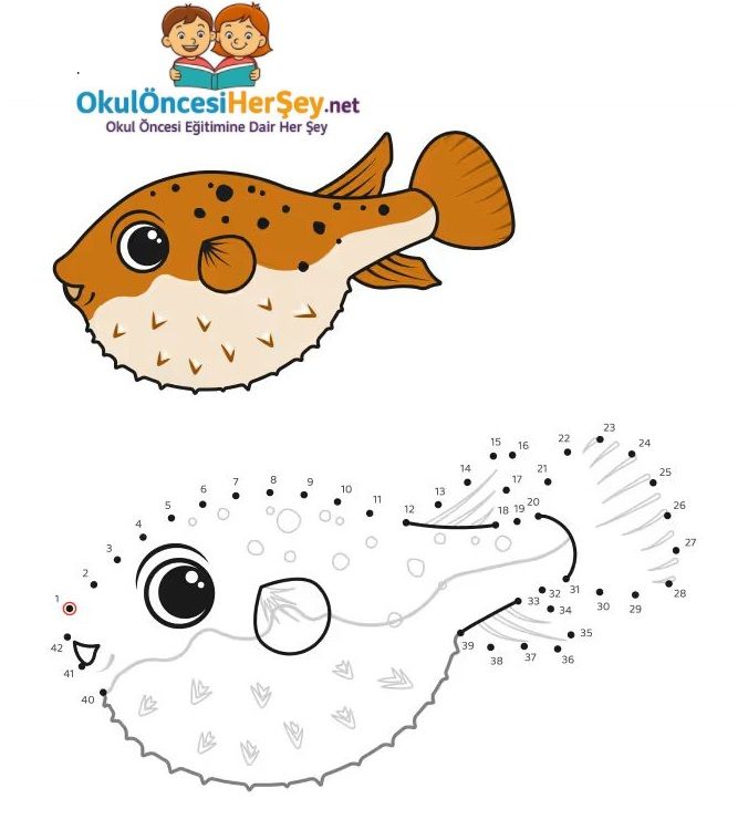 Çizgi Çalışmaları