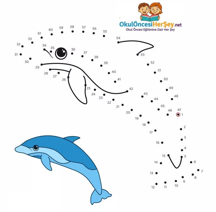 Çizgi Çalışmaları