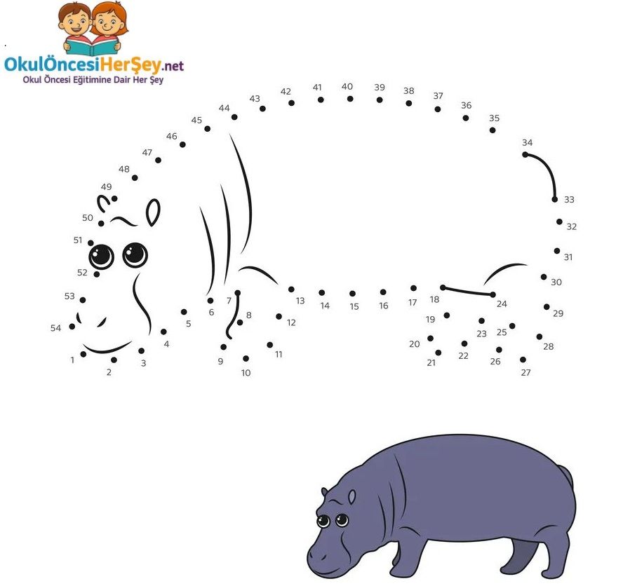 Çizgi Çalışmaları