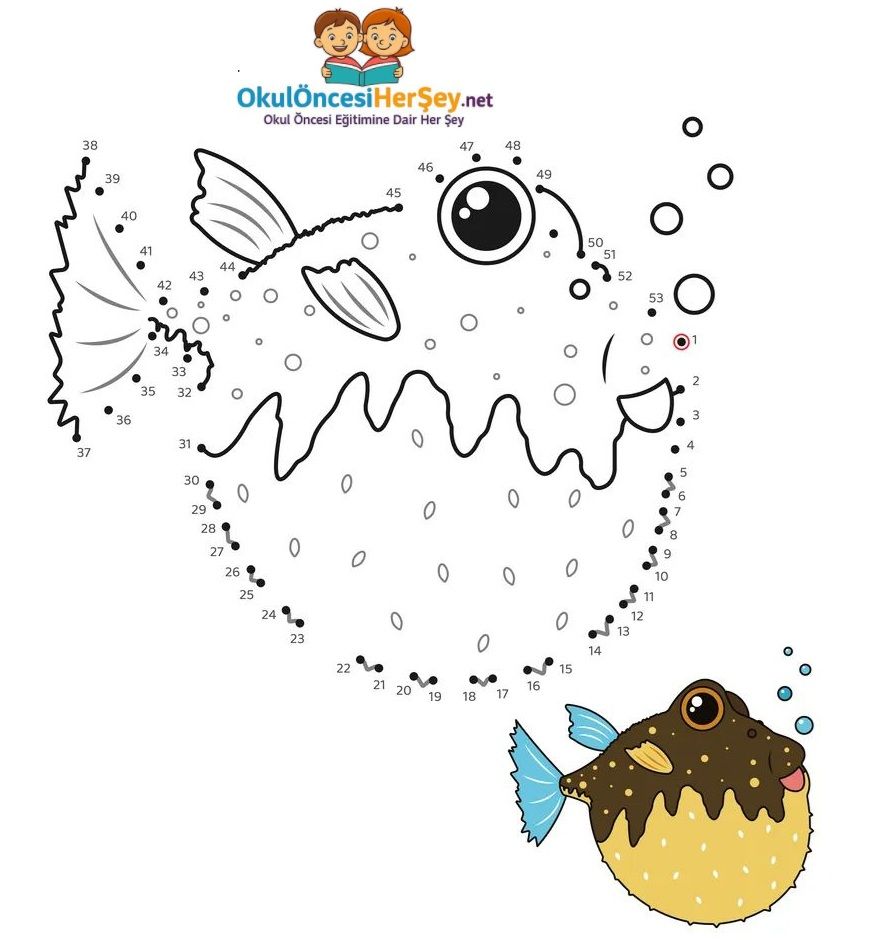 Çizgi Çalışmaları