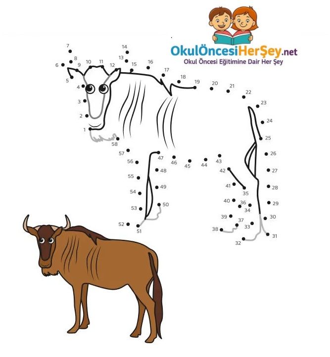 Çizgi Çalışmaları