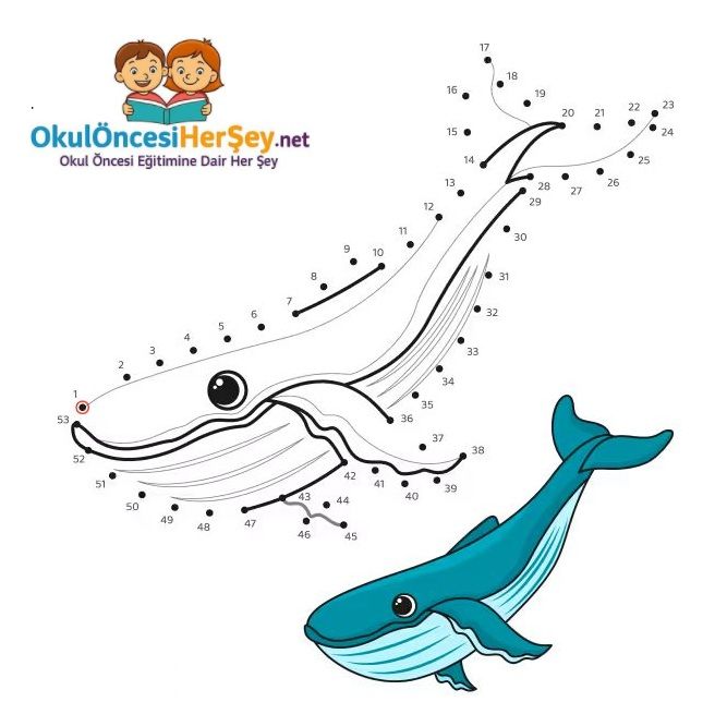 Çizgi Çalışmaları