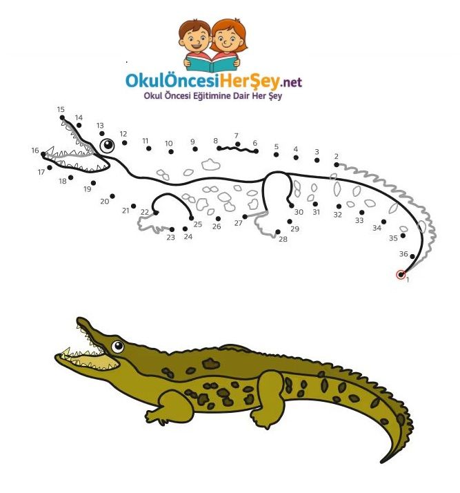 Çizgi Çalışmaları