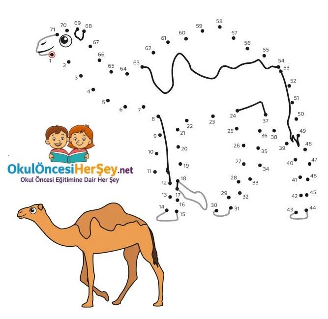 Çizgi Çalışmaları