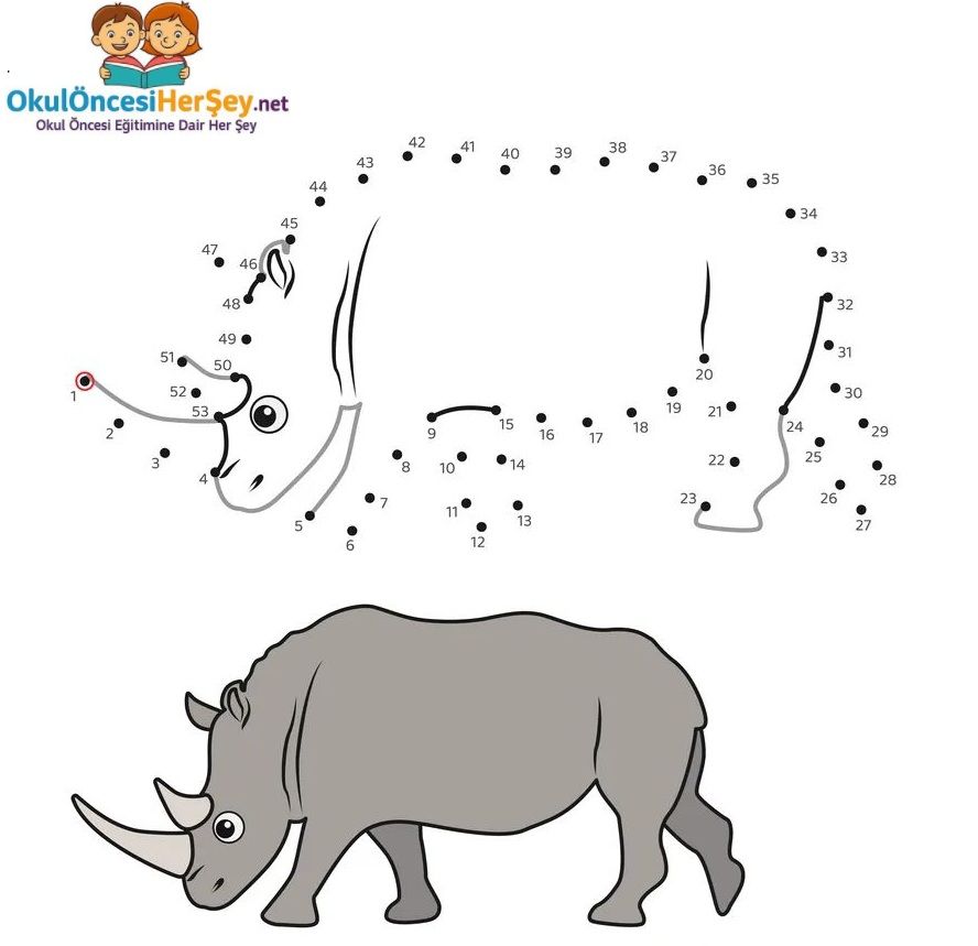 Çizgi Çalışmaları