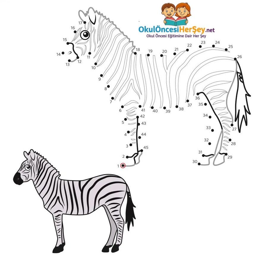 Çizgi Çalışmaları