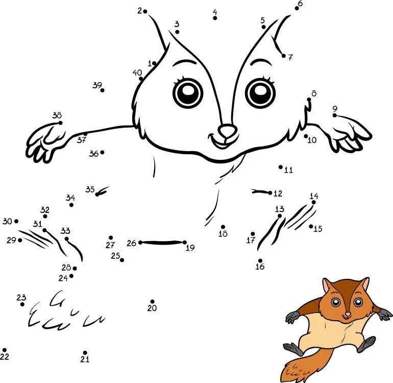 Çizgi Çalışmaları