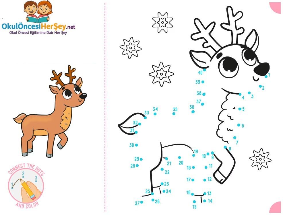 Çizgi Çalışmaları