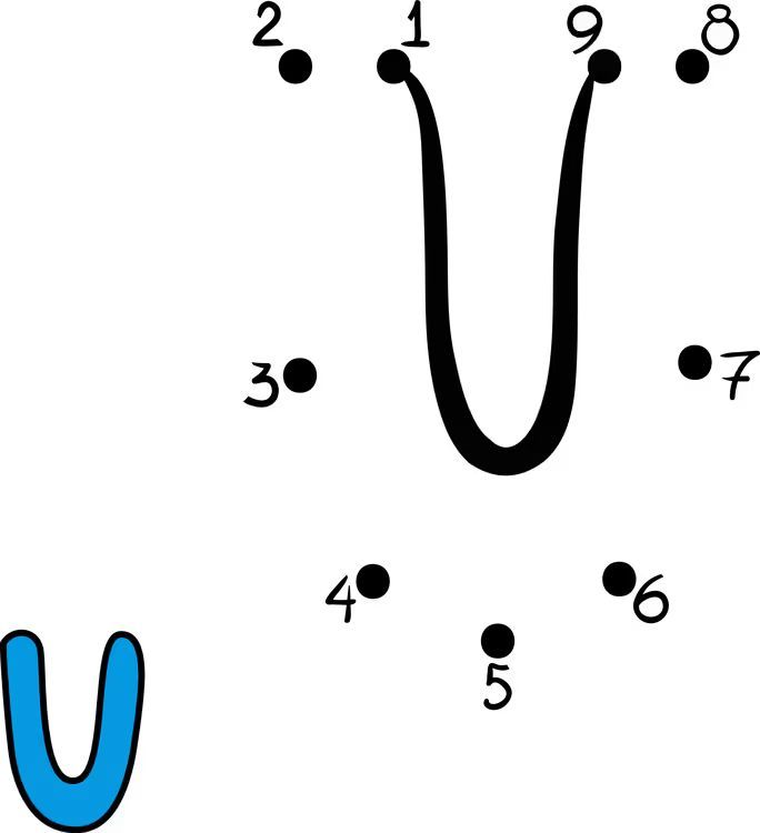 Çizgi Çalışmaları