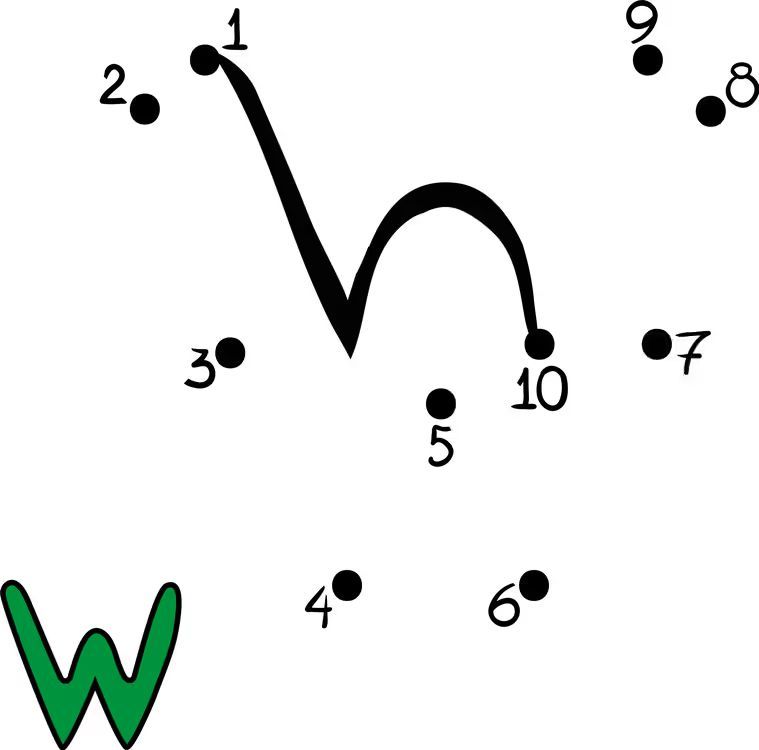 Çizgi Çalışmaları