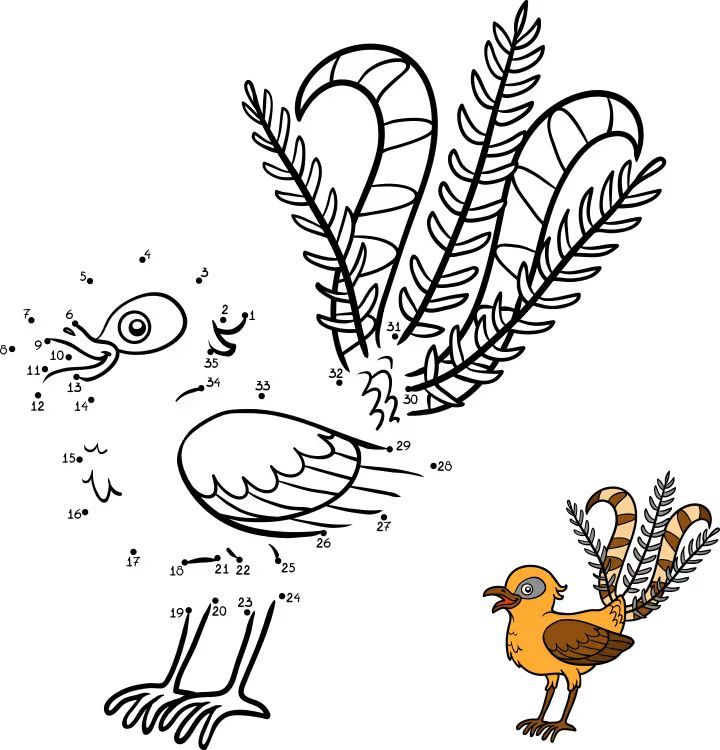 Çizgi Çalışmaları