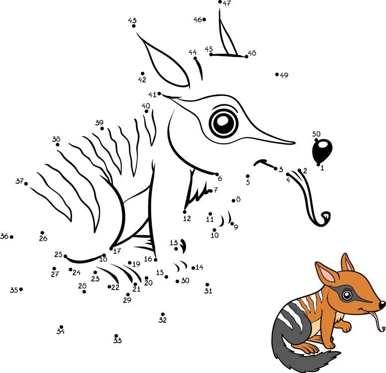 Çizgi Çalışmaları