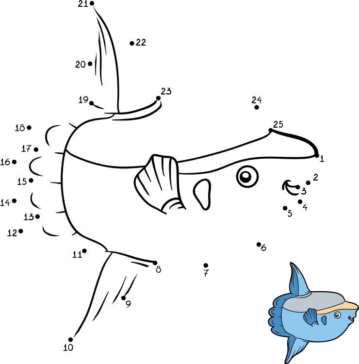 Çizgi Çalışmaları