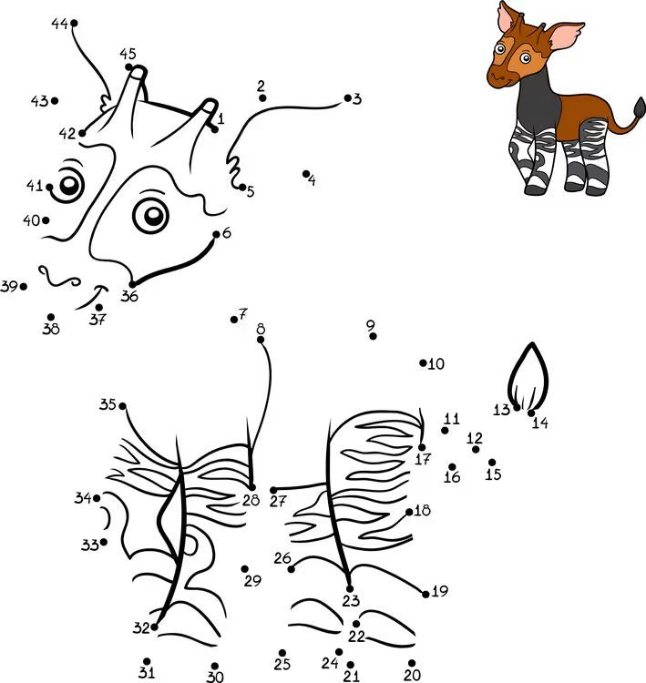 Çizgi Çalışmaları