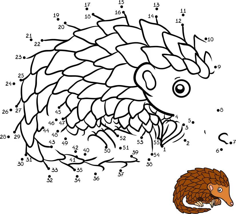 Çizgi Çalışmaları